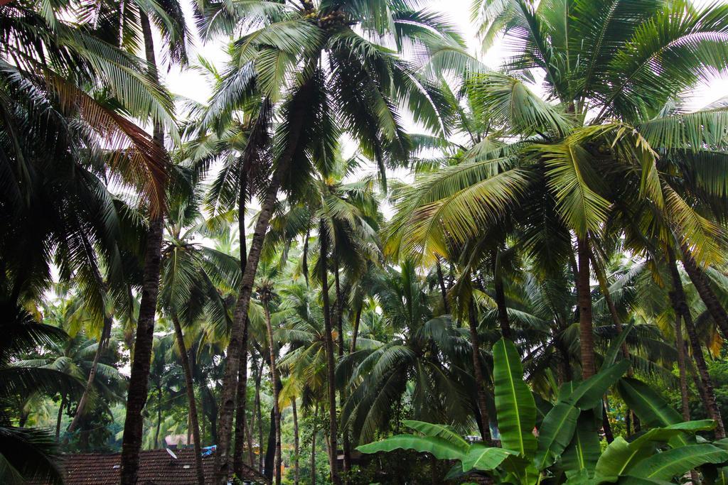 Hilias Retreat Palolem